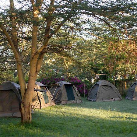 Burch'S Resort Naivasha Camping Exterior foto