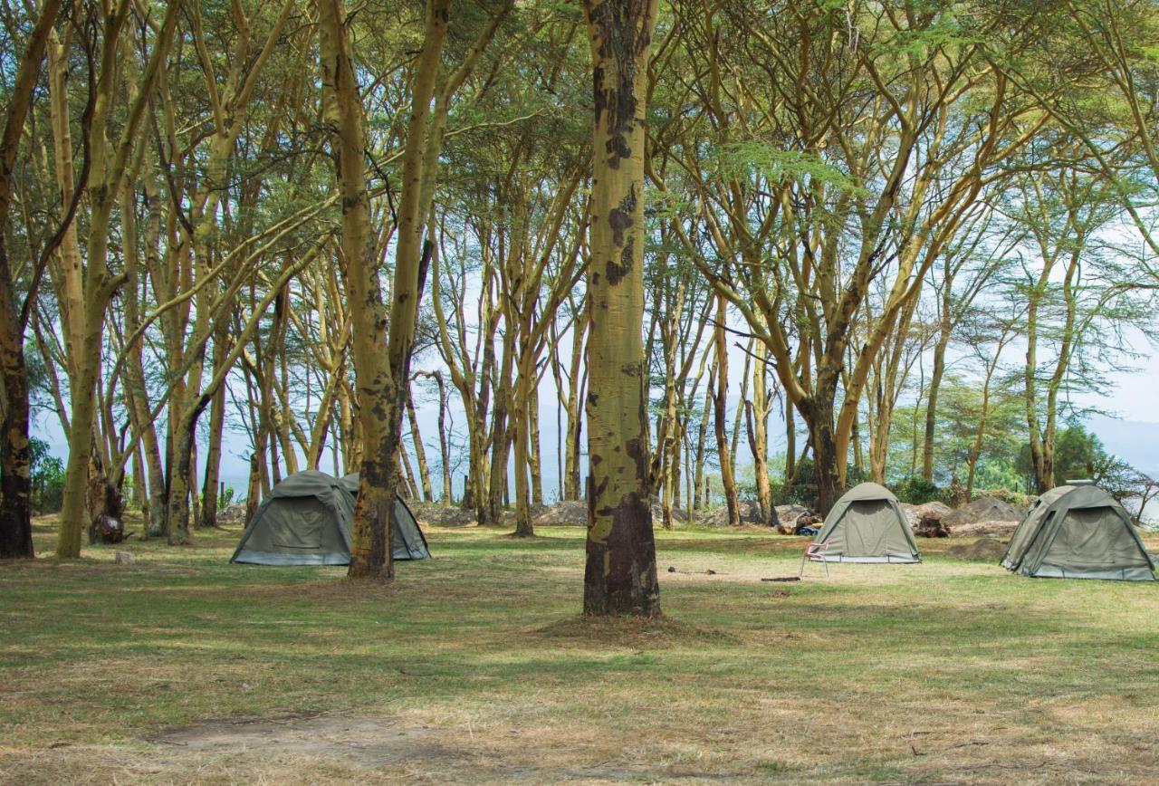 Burch'S Resort Naivasha Camping Exterior foto